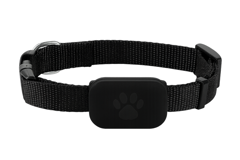 Coleira GPS PetSafe – Nunca Perca Seu Melhor Amigo