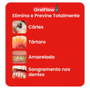 Oralflow Max + Kit De Acessórios Grátis! – Dentes Sempre Limpos