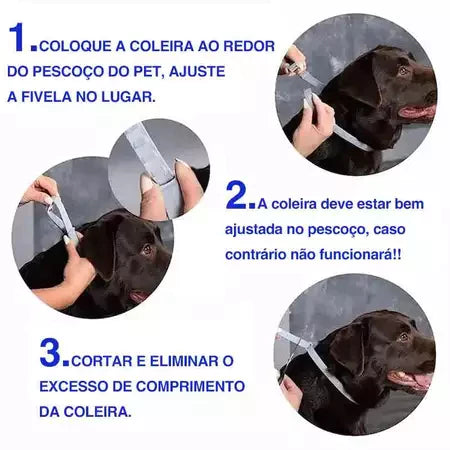 Colar Anti Pulgas E Carrapatos Max – Cães e Gatos Saudáveis