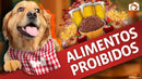Ebook Alimentos que Podem Custar a Vida do Seu Pet