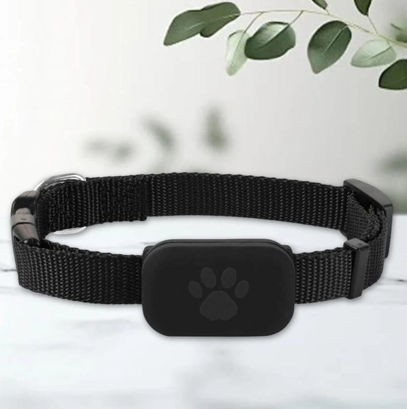 Coleira GPS PetSafe – Nunca Perca Seu Melhor Amigo