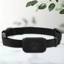 Coleira GPS PetSafe – Nunca Perca Seu Melhor Amigo